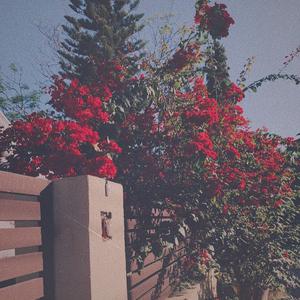 天府luckybaby最新十期
